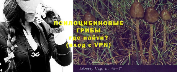 ПСИЛОЦИБИНОВЫЕ ГРИБЫ Алексин