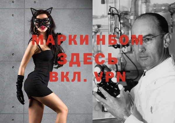 ПСИЛОЦИБИНОВЫЕ ГРИБЫ Алексин