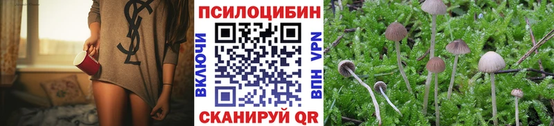 Галлюциногенные грибы Psilocybe  Северская 